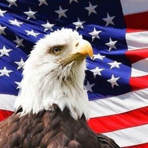 Meet your Posher, Stephen - Picture 1 of 1